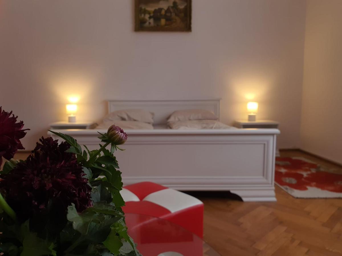 Apartament Enescu Тимишоара Экстерьер фото