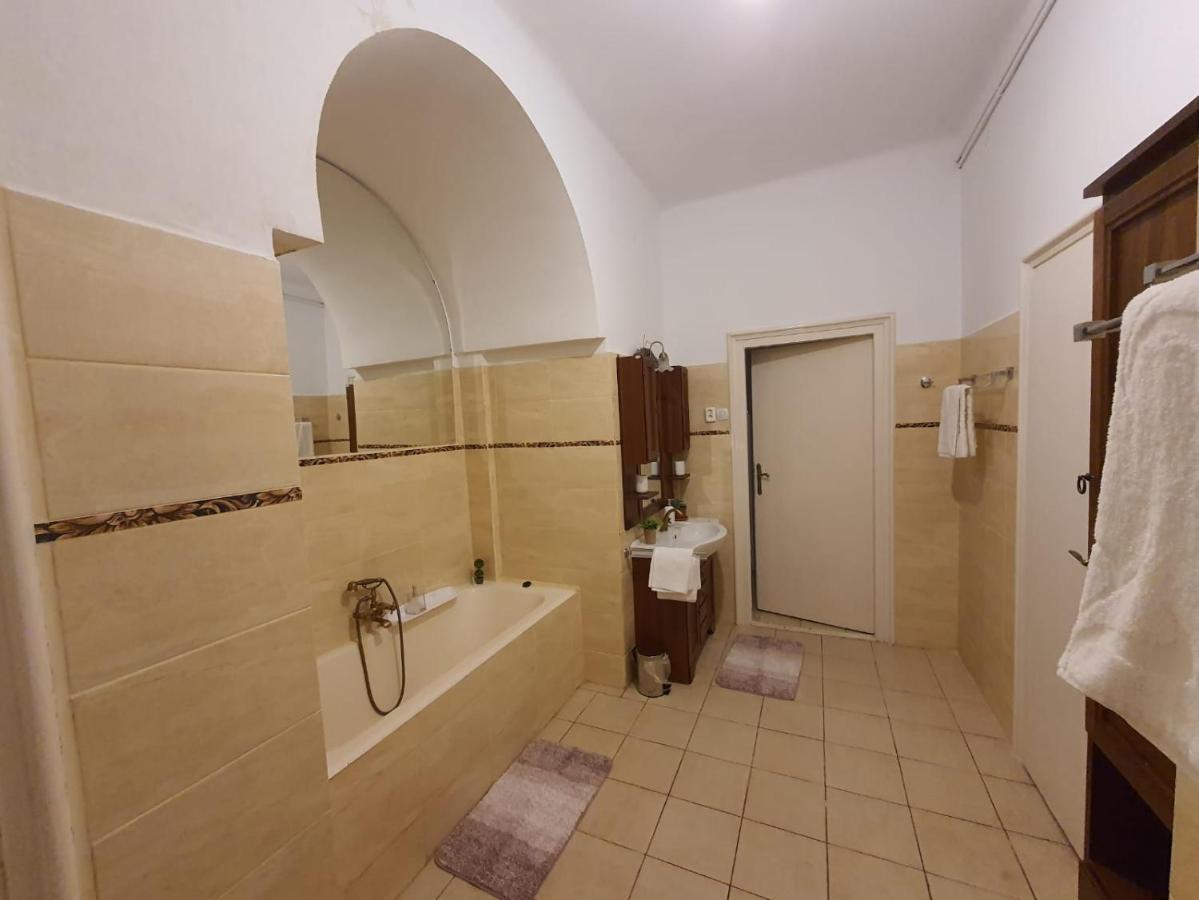Apartament Enescu Тимишоара Экстерьер фото
