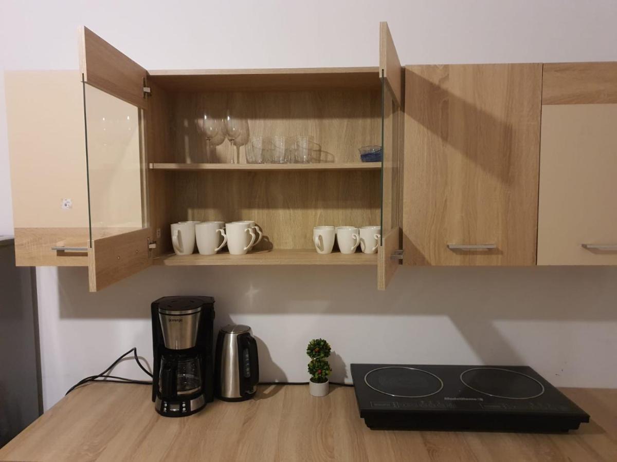 Apartament Enescu Тимишоара Экстерьер фото