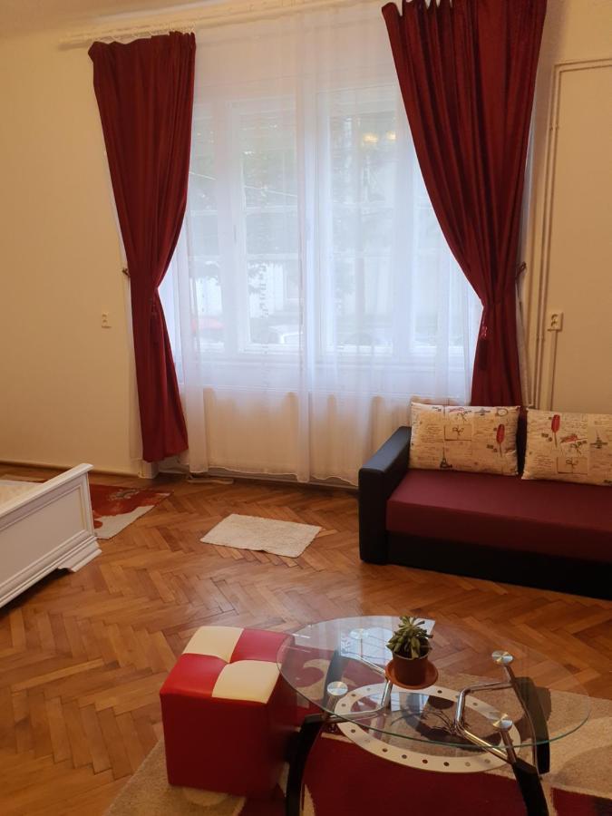 Apartament Enescu Тимишоара Экстерьер фото