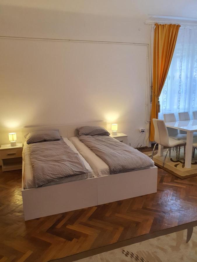 Apartament Enescu Тимишоара Экстерьер фото